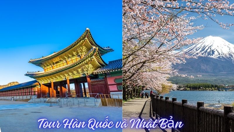 Trải Nghiệm Tour Hàn Quốc và Nhật Bản